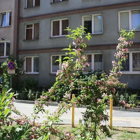 Centrum * Щецин